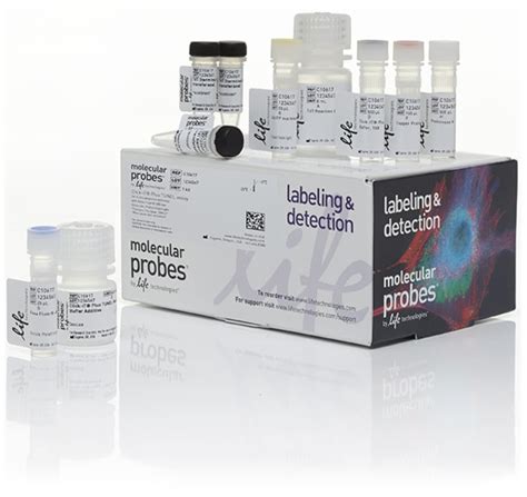 apoptosis assay elisa kit|apoptosis detection kit.